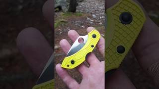 Spyderco Dragonfly 2 Knife Review [upl. by Bruning166]