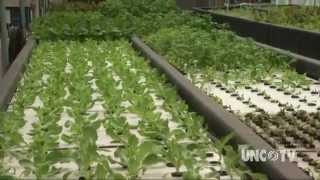 Aquaponics Farming of the Future  Sci NC [upl. by Ekrub]