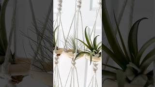 My first wholesale order💚 airplant supportsmallbusiness airplanthanger homedecor [upl. by Radnaxela]