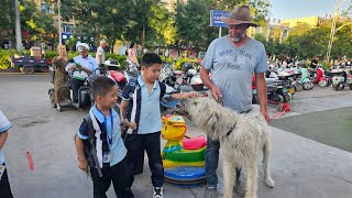 Mit Hund über die Grenze nach China [upl. by Ecerahs909]