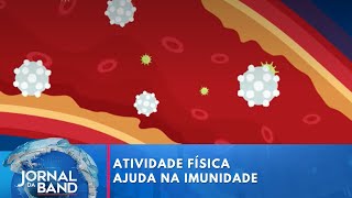 Atividade física ajuda na imunidade veja melhores hábitos  Jornal da Band [upl. by Attevaj]