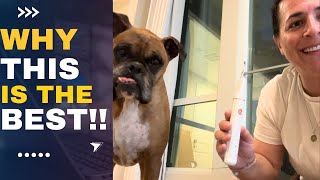 Review of Plaque Remover for Teeth Pet Teeth Cleaning Tools [upl. by Devine614]