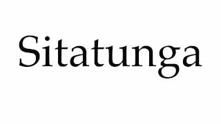 How to Pronounce Sitatunga [upl. by Elleinwad617]