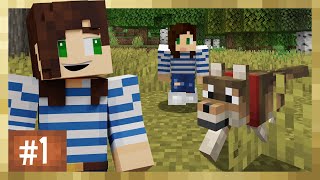 8 New Wolves in Minecraft  Comments On Ep1 [upl. by Ociral]