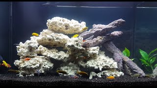 Setting Up a 65 Gallon African Cichlid Aquarium [upl. by Ahsinert191]