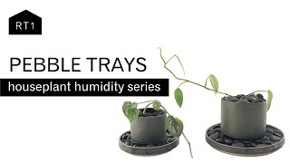 PEBBLE TRAYS AN ATTRACTIVE METHOD TO INCREASE HUMIDITY [upl. by Callean]