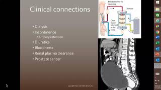 10 Clinical Connections part 1 [upl. by Assina798]