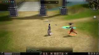 Metin2  PvP healer 70 vs 100 DiamondMT2 [upl. by Nomit]