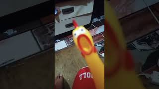 Chicken toy [upl. by Corwin]