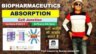 CELL JUNCTION amp Types absorption Mechanism  Pore Para Cellular Biopharmaceutics  L4 Unit1 [upl. by Leirej]