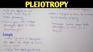 Pleiotropy In Genetics  Class 12 Biology [upl. by Hadihahs629]