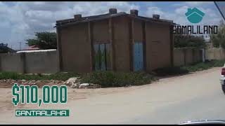 110000 PLOT OF LAND FOR SALE IN HARGEISA SOMALILAND  GANTALAHA  24 X 18 SQ M [upl. by Enialedam742]