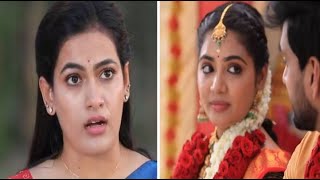 Chellamma  Episode Promo  29th June 2024 [upl. by Alded]