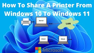 How To Share A Printer From Windows 10 To Windows 11 [upl. by Annuahsal]