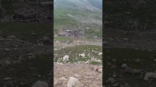 Stables n farms in mountains of pakistan [upl. by Lig]