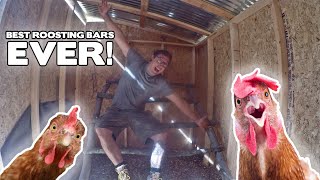 The Perfect Roosting Bars for Chickens Cheap DIY Natural Roosting Bars [upl. by Arraeit93]