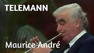 G Ph Telemann  Trumpet Sonata D Major [upl. by Anileuqcaj289]