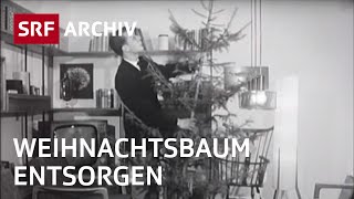 Wohin mit dem Weihnachtsbaum 1964  Entsorgung von Weihnachtsbaum  SRF Archiv [upl. by Ardme]