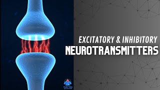 Excitatory and Inhibitory Function of Neurotransmitters  Synapse  Dr Krunal Dabhi [upl. by Salena]