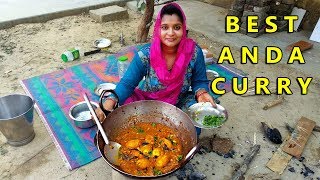 उंगलिया चाटने पर मजबूर हो जाओगे जब खाओगे ये अंडा करी  BEST VILLAGE ANDA CURRY RECIPE [upl. by Wei]