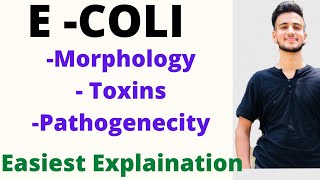 E COLI BACTERIA IN HINDI  E COLI Microbiology Toxins of ECOLI [upl. by Aseefan]