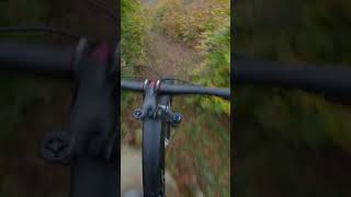 This spot is sick mtb downhill mtbs [upl. by Germana712]