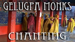 Gelugpa Monks chanting at Tashi Lhunpo Monastery [upl. by Koller15]