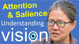 Introduction tutorial on visual attention and visual salience [upl. by Onimixam]