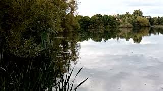 🎣fishing Holmer Lake pool [upl. by Aileen754]