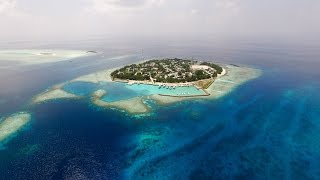 Maldives Rasdhoo filmed with a DJI Phantom 3 drone Aurix  Touch [upl. by Zeralda]