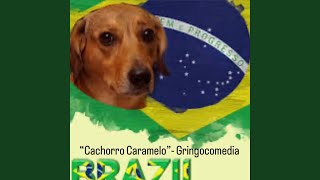 Cachorro Caramelo GringoComedia [upl. by Nancie]