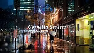 Cornelia Street  Taylor Swift cover by Josh Rab Lyrics [upl. by Guidotti]