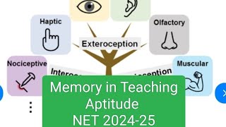 Memory in Teaching AptitudeSensory MemoryShort term Memory Long Term Memory [upl. by Aiak]