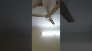 1BHK HOUSE FOR RENT BANGALORE  Bangalore vijayanagar to Indiranagar MGRoad UBCity shivajinagar [upl. by Arbrab673]