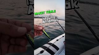 İstavrit Avı Sea Horse Sparkle 70s fishing fish balık lrf lrfbalıkavı fishinglife [upl. by Woodman]