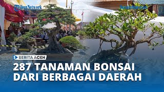 287 Koleksi Tanaman Bonsai dari Berbagai Daerah Mejeng di Aceh Tamiang [upl. by Yhtrod]