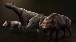 Life After Dinosaurs 2008  Hyaenodon amp Paraceratherium amp Embolotherium and Entelodon Screen Time [upl. by Sargent314]