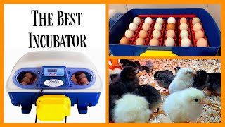 Borotto Real24 Egg Incubator Review [upl. by Elem]