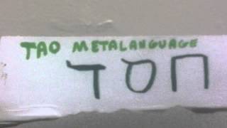 TAO METALANGUAGE running a defragmenting process on tao metalanguage [upl. by Nnyleimaj]