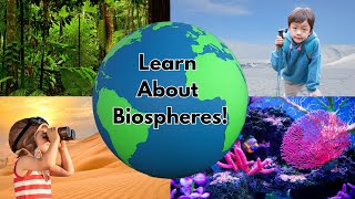 Explore Biospheres with Fun Kids Song  Learn About Tundra Rainforest Desert amp Coral Reef [upl. by Titos]