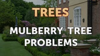 Mulberry Tree Problems [upl. by Osnerol]