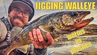 Jigging Walleye Worms vs Plasticsfail [upl. by Ainirtac]