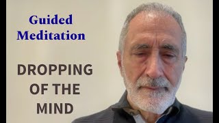 Guided Meditation Dropping of the mind nonduality meditation [upl. by Stralka]