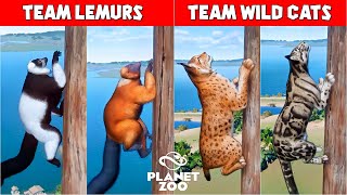 Planet Zoo Animals Climbing Race  Red Ruffed Lemur Ringtailed Lemur Snow Leopard Caracal [upl. by Dorinda884]