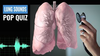 Name that Lung Sound Lung Sound Quiz  NCLEX REVIEW [upl. by Ostap]