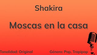 Moscas En La Casa  Shakira Piano Karaoke [upl. by Roderica]