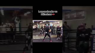 Lomachenko Dillashaw Sparring lomachenko boxeo russia uk mexico boxer ringside ufc 100k [upl. by Eixor]