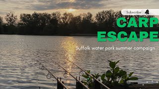 Summer campaign  Suffolk water park  CARP ESCAPE  Carp fishing 2023 [upl. by Opportuna]