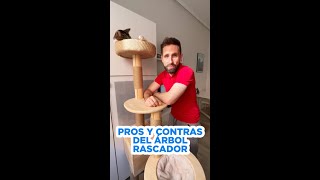 Review Pros y contras del árbol rascador de madera de mi gato Alcachofo [upl. by Aratas845]