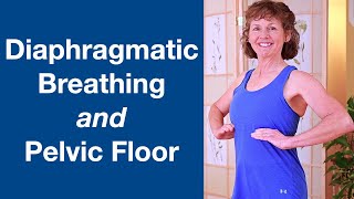 Diaphragmatic Breathing and Pelvic Floor [upl. by Arakat]